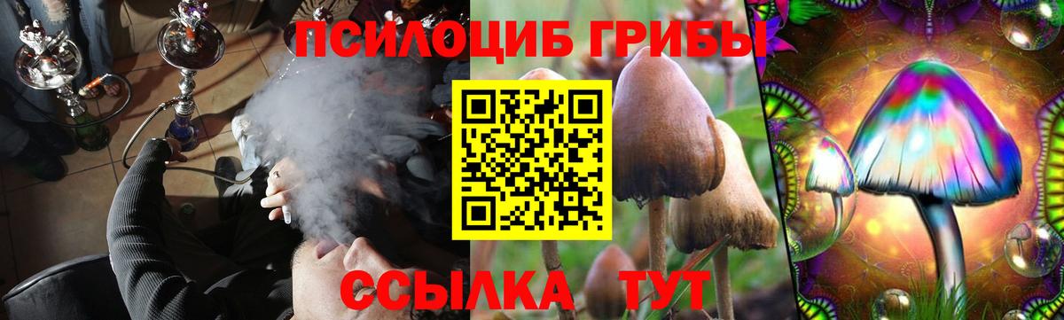 Галлюциногенные грибы Cubensis Рославль